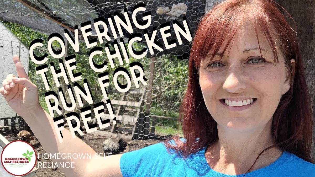 'Video thumbnail for Covering The Chicken Run Cheaply For Predator Protection'
