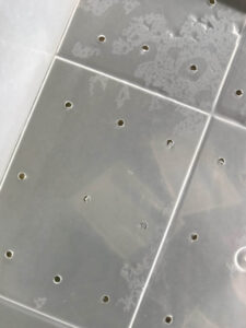 Fodder Tray with Holes