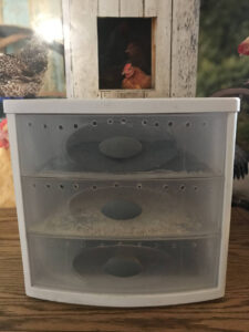 Mealworm Breeding Trays