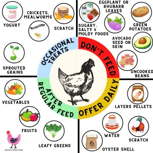 CHICKEN-FEED-CHART