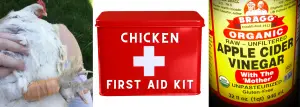 CHICKEN FIRST AID KIT