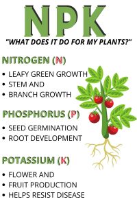 NPK INFORMATION INFOGRAPHIC