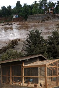 FLOOD-CHICKEN-COOP