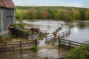 FLOODED-FARM