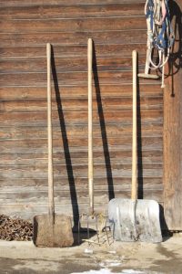 SECURE-ALL-CHICKEN-COOP-TOOLS-IN-A-SHED