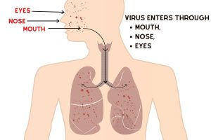 VIRUS-ENTERS-THROUGH