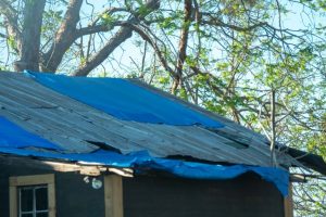 TARP-ON-ROOF FOR CHICKEN COOP