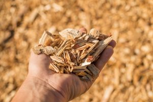 WOOD-CHIPS FOR CHICKEN RUN