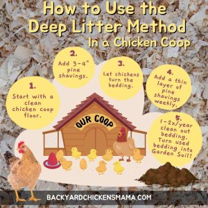 HOW-TO-USE-THE-DEEP-LITTER-METHOD-IN-A-CHICKEN-COOP