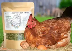 Nesting Box Herbs for Chickens