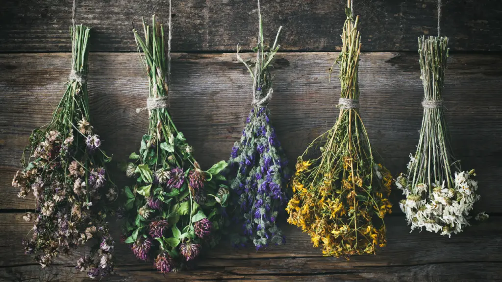 AIR DRYING HERBS